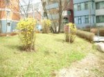 鸿博锦绣花园6234元/平米