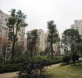 金阳新世界5395元/平米