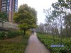 帝景传说二手房50万元