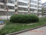汇丰苑5323元/平米