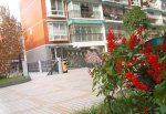 凤来仪小区4951元/平米