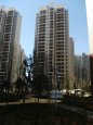 天润康园4947元/平米