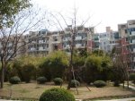 盛都花园3051元/平米