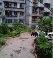 青山小区4660元/平米