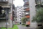 龙船坪小区6603元/平米