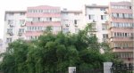 郭里园新村8656元/平米