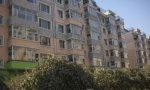伊利花园4920元/平米
