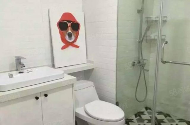 家嘴沿江豪装 复式一房一厅出租 酒店式管理 高