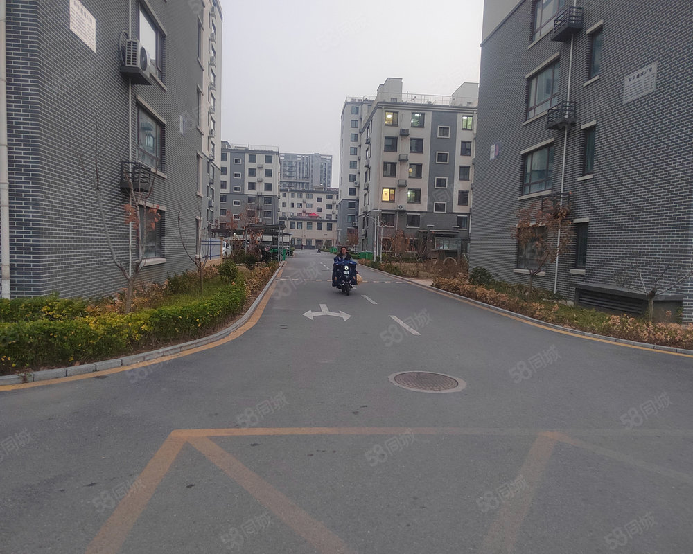 和平鑫城