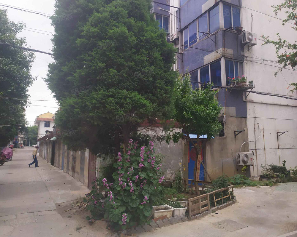 【桃花坞一区 桃花坞一区小区详情,房价走势,房源,业主论坛 镇江