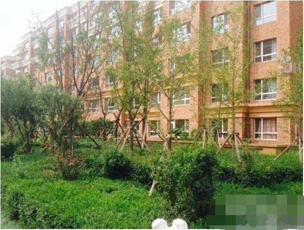 TX意大利风情T 两万首付,全额贷款 精装现房入