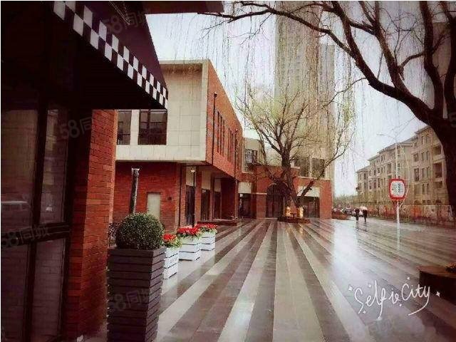 郡原小石城南北通透52中学总校区地铁房新市