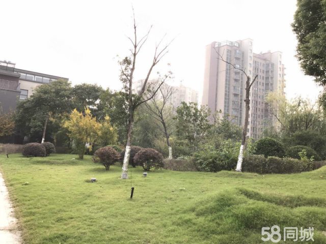 【9图】靖江一手楼盘 龙启城南大院 现房销售