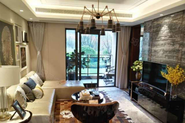 【7图】蓝光林肯公园别墅,滨江,公园,科技,学校