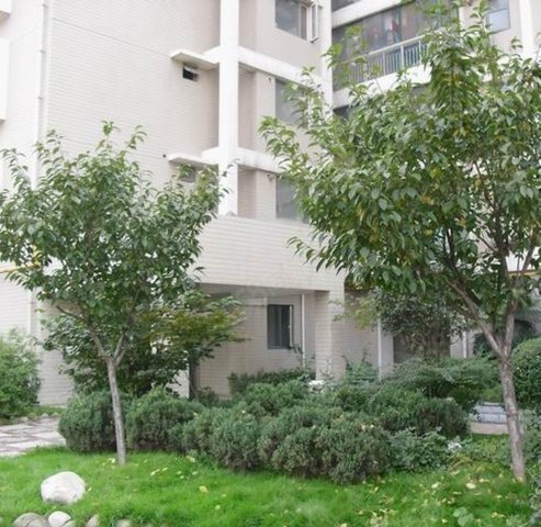 【20图】地铁3号线大雁塔附近 3室业主精心装