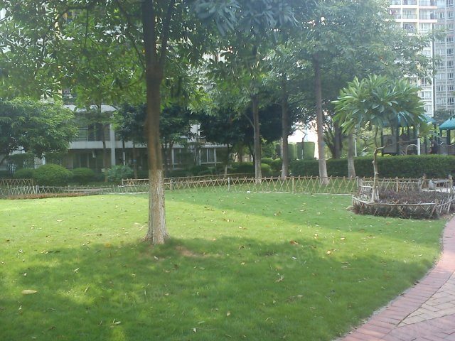 【13图】中信新天地 精装房出租 四房租三房价