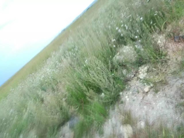 【3图】孟庄别墅 2016年新房 南北通透 毛坯房