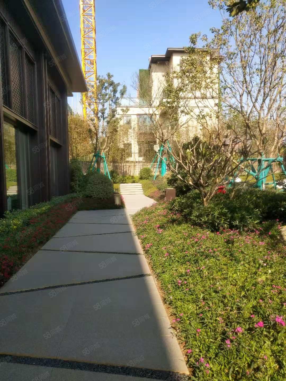 桂柳路 龙光莲花悦府 别墅(江景合院)前后两大花园再送地