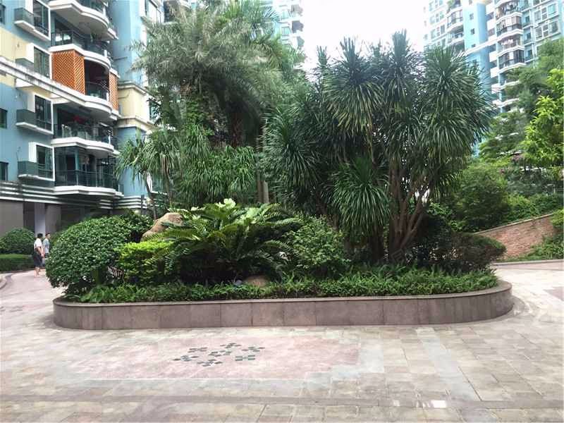 香荔绿洲