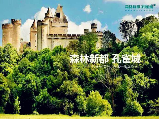 【21图】任志强力荐楼盘北京周边新机场孔雀