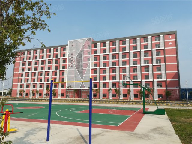 广州市新昊信房地产顾问有限公司