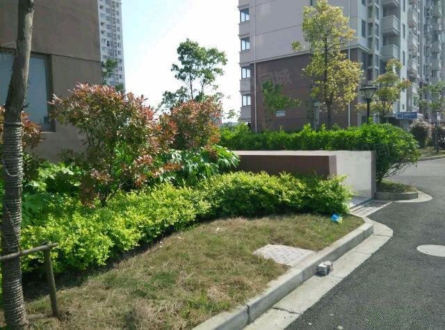 【16图】黄金10楼,总高18层,南北通透,无遮挡