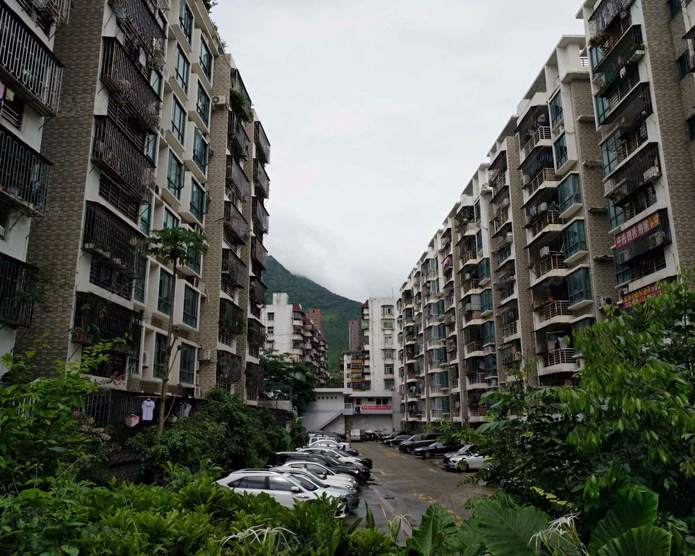 莲馨园