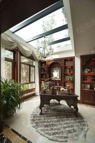 【7图】团泊湖独栋别墅送下沉式庭院+全明地