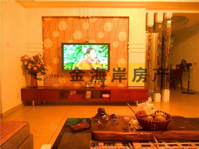 【11图】金融街万达,武夷绿洲精装修3.5房可落