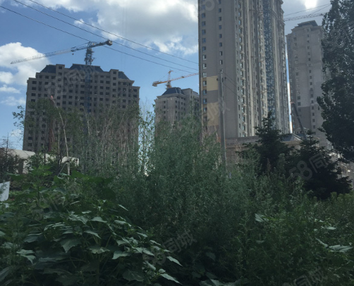 【8图】哈西东方新天地 精装修 继红校区房 黄