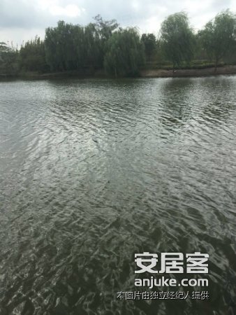 【6图】(出售)崇明长征农场长征一村二手公房