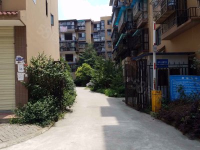 【三道堰房价|三道堰楼盘|三道堰小区信息】-成