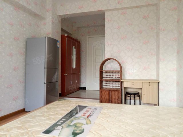 6图】金山桥头附近 大润发旁 小型单身公寓 温