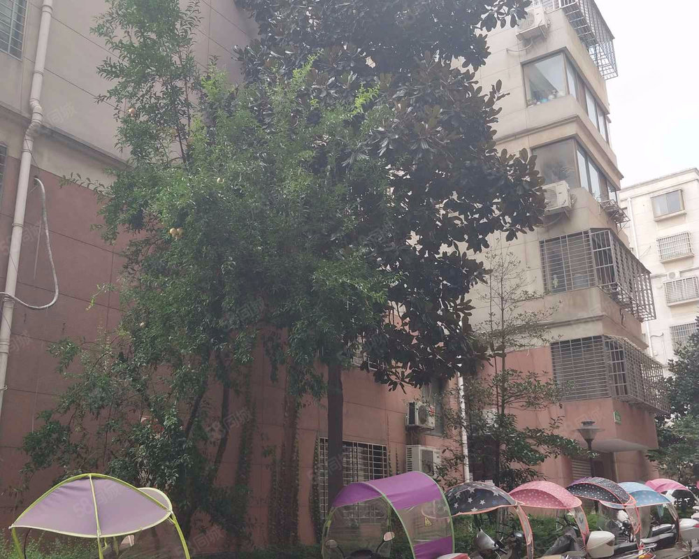 莲馨家园