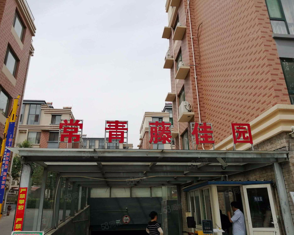 【常青藤佳园 常青藤佳园小区详情,房价走势,房源,业主论坛 淄博5