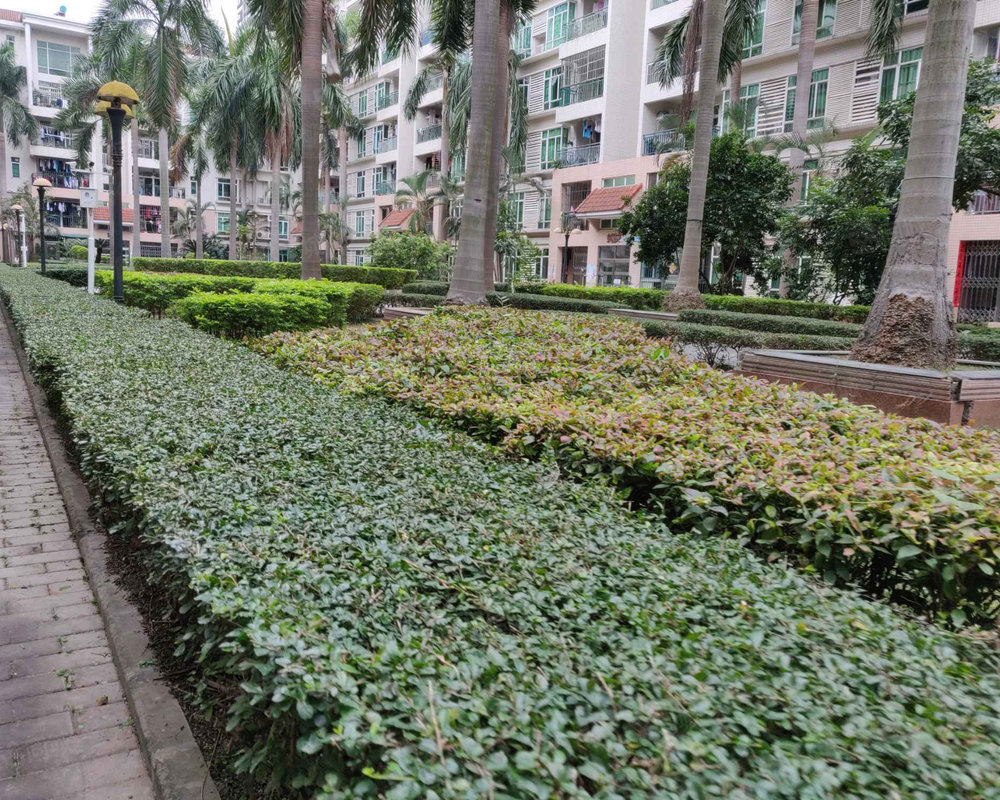 丽港城莱茵花园