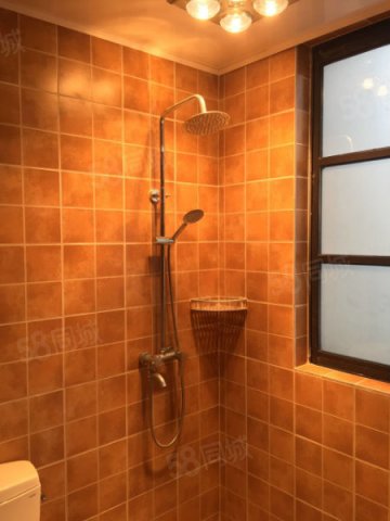 上海市区唯一的大面积湿地,闹中取静环境优美