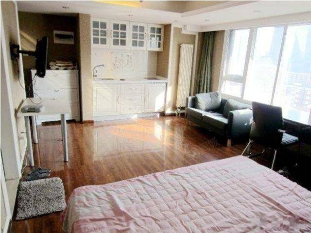 【8图】朝阳CBD三里屯东大桥呼家楼地铁沿线