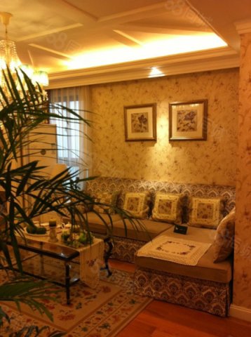 【9图】室内面积80平,总价50万的房子,崇明岛