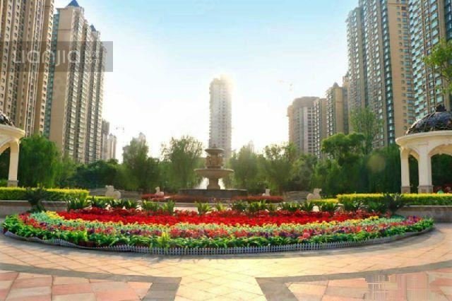 10图】恒大御景半岛精装公寓一室一厅13梯26