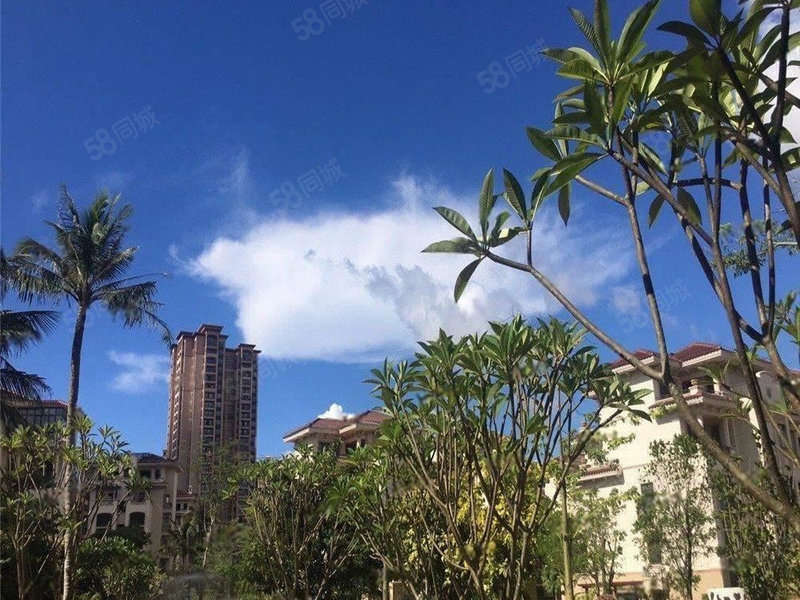 荣昱月亮湾 一线海景 精装交付 外地可买 配套齐全 采光好
