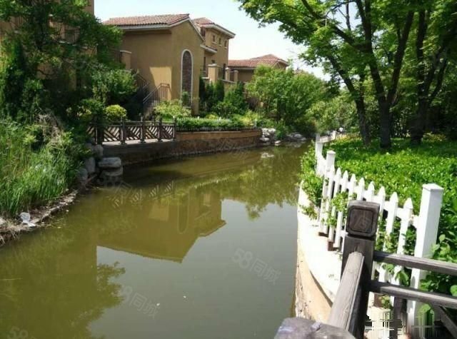 【10图】团泊镇仁爱团泊湖庭院纯独栋一亩大