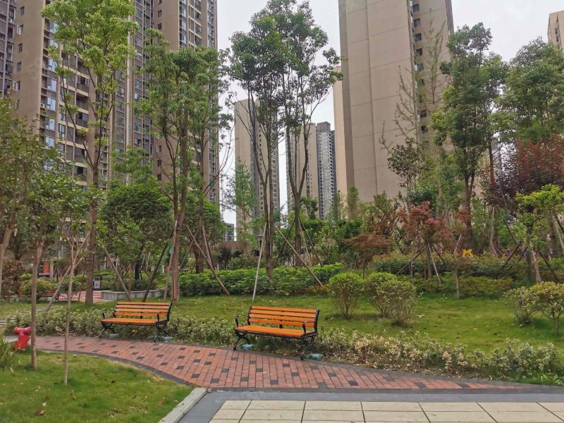保水逸苑c区3室2厅2卫81㎡南北80万