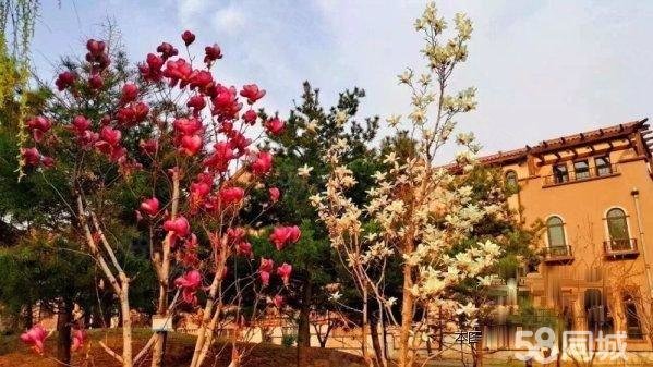 【11图】宏汉阁十号 内部团购 均价5500 市政