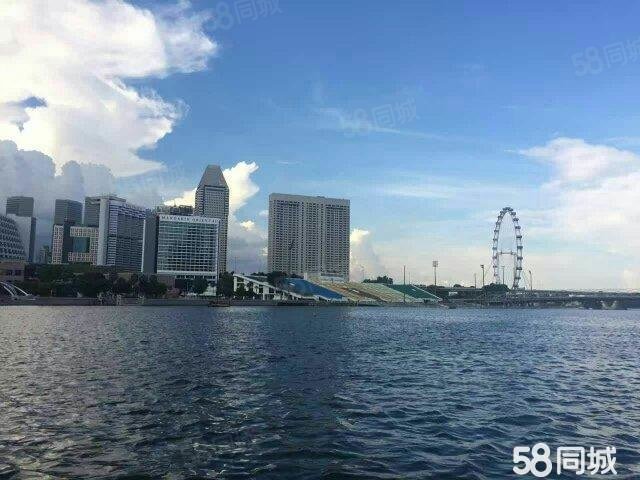 【14图】新加坡碧桂园森林城市 零公摊 海外投