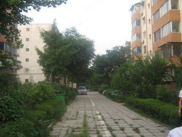 【11图】华龙小区精装一居室,家电齐全,拎包入