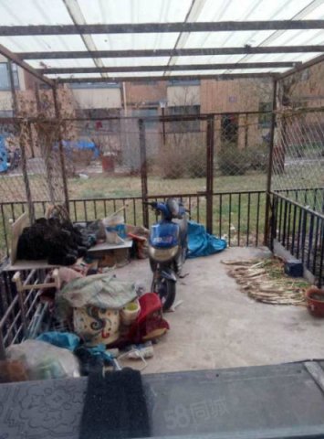 【11图】精装修一楼阳光房带花园,拎包入住,