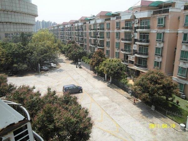 【16图】顺碧花园区临近广州南地铁站精装两