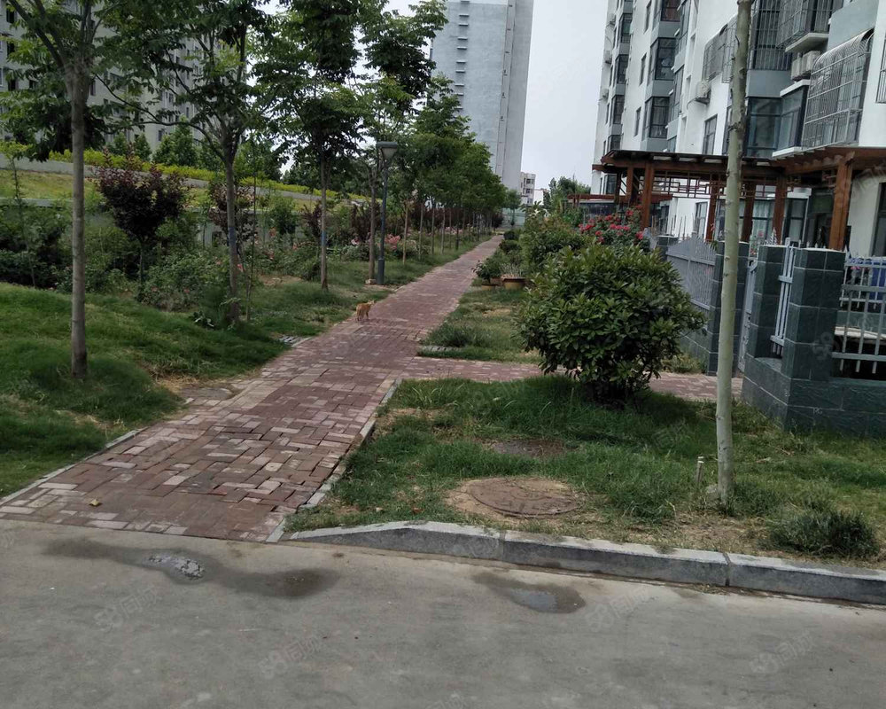 杏林馨苑