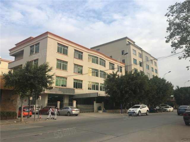 广州市新昊信房地产顾问有限公司